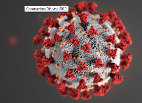 Photo of the Coronavirus from the CDC website