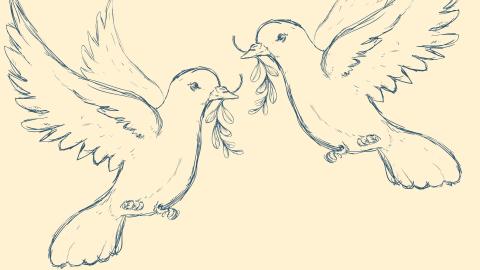 sketched doves with olive branches