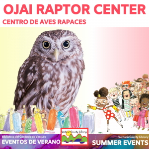 photo of owl with graphics of schoolchildren performing a science experiment. Text reads Ojai Raptor Center: Centro de aves rapaces