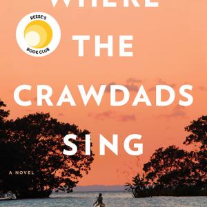 book cover for Where the Crawdads Sing - shows a peach sunset and a girl canoeing through marshland into the ocean